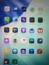 Apple/苹果 iPad mini (A17 Pro) 8.3英寸 平板电脑(256G WLAN版/mini7/MXND3CH/A)星光色 实拍图