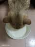 新宠之康 宠物羊奶粉400g狗狗猫咪成幼犬猫泰迪金毛羊奶粉营养补充 实拍图