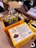 思香逢广东潮汕特产香辣五香沙嗲牛肉粒500克独立包装牛肉干 实拍图