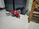 华元宠具（hoopet）猫咪衣服春节过年毛衣秋冬保暖冬季猫衣服防掉毛宠物新年国潮棉衣 【新年】老头毛衣（偏大） XS：胸围30cm【建议1-3斤】 实拍图