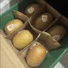 佳沛（zespri）新西兰阳光金奇异果6粒装88-103g猕猴桃水果中秋节礼品送水果礼盒 实拍图
