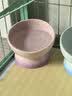 乐优派猫碗陶瓷狗碗猫食盆狗盆宠物碗猫粮碗高脚防打翻猫咪用品 渐变蓝 实拍图