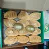佳沛（zespri）新西兰金奇异果16粒经典果88-103g猕猴桃中秋节礼品送水果礼盒 实拍图