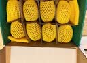 佳沛（zespri）新西兰阳光金奇异果6粒装88-103g猕猴桃水果中秋节礼品送水果礼盒 实拍图