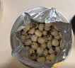福东海 莲子500g 湘潭去芯磨皮通芯湘莲子可搭白莲子煲汤糖水搭四神汤料 实拍图
