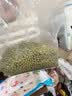 方家铺子中华老字号 绿豆2斤 可发豆芽打豆浆东北五谷杂粮 无铁豆粗粮 实拍图