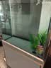 森森（SUNSUN）大型鱼缸底过滤水族箱客厅家用落地玻璃生态金鱼缸 【实时温显+灯控】纳米灰 0.6米长35cm宽 实拍图