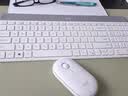 罗技（Logitech）时尚系列 MK470 键鼠套装 无线键鼠套装 超薄 全尺寸 芍药白 带无线2.4G接收器 实拍图