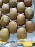 佳沛（zespri）新西兰 阳光金果25-27粒原箱特大果单果124-146g 猕猴桃水果礼盒 实拍图