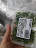 小葱香菜调味组合40g 实拍图
