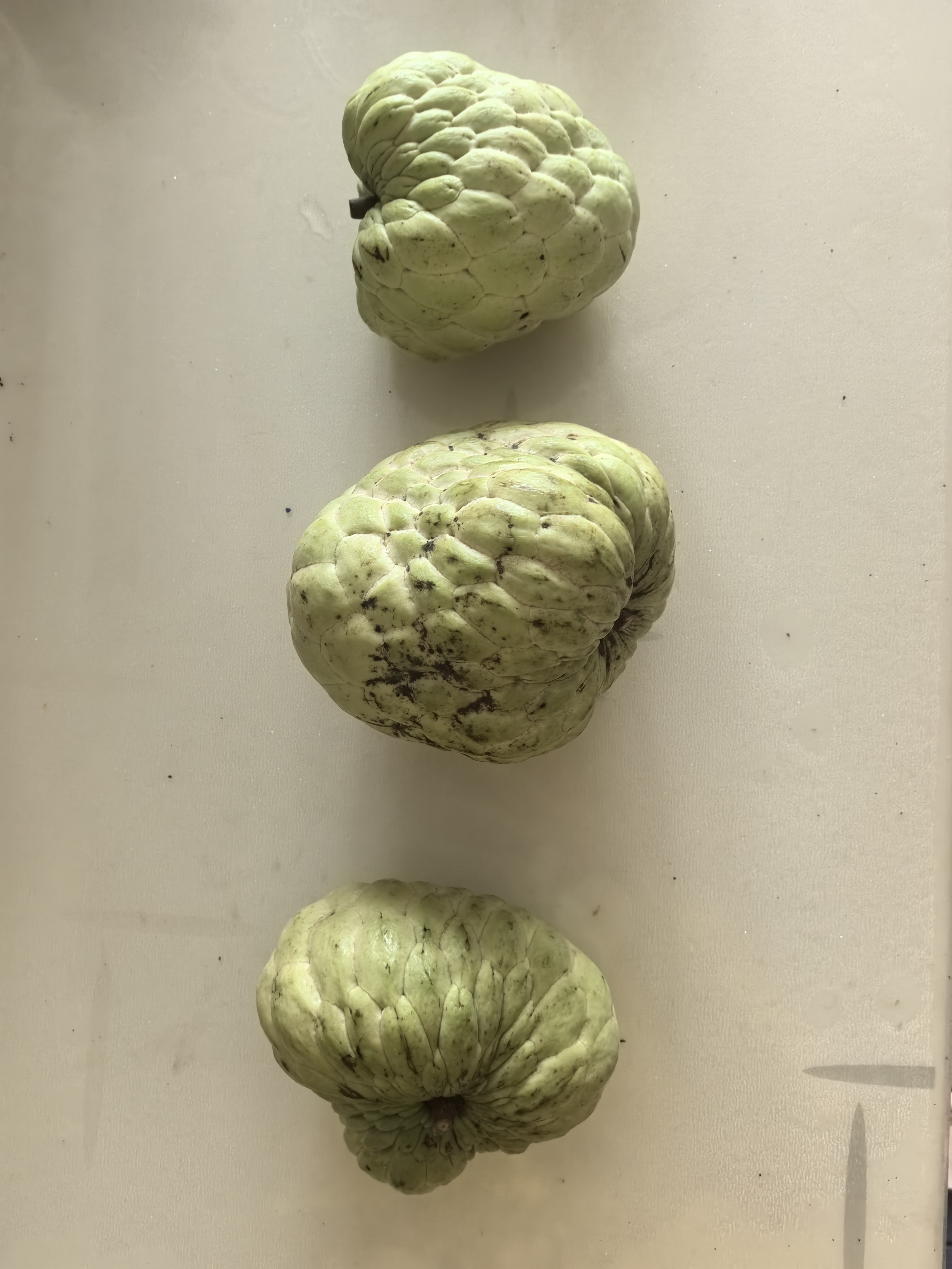 沐小七果蔬 凤梨牛奶释迦果【顺丰-多地次日达】泰国大目番荔枝中秋水果礼盒 3斤装【双人爽吃-狠划算】净2斤 20年老树 巨无霸【单果约350-450g】 实拍图