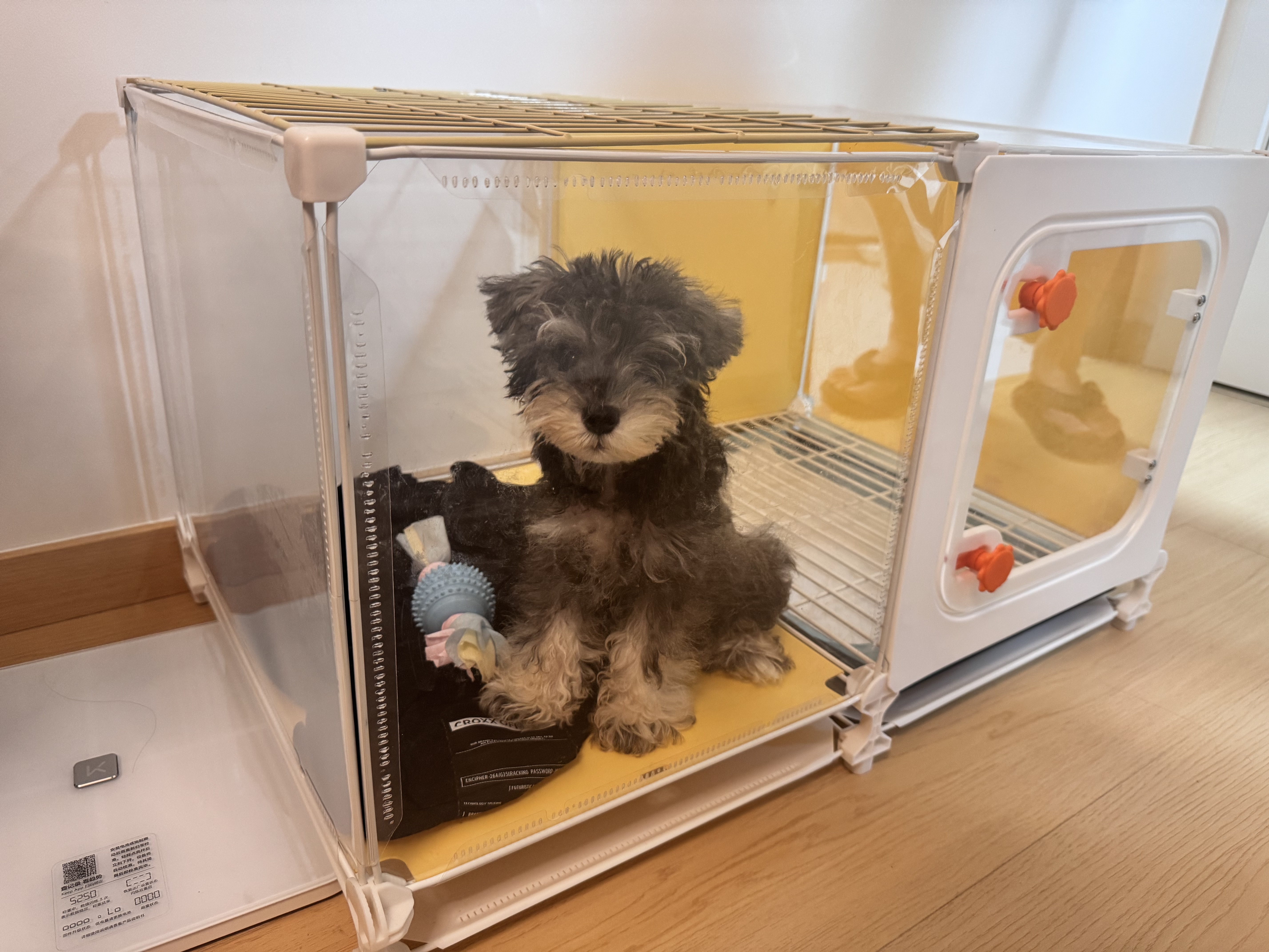 蔻丝狗笼子小型犬带厕所分离一室一卫家用室内泰迪博美比熊幼犬笼自营 实拍图