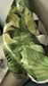 家得宝（homebaby）拉拉裤 蚕丝蛋白婴儿尿不湿 花苞裤男女宝宝 夏季超薄透气学步裤 拉拉裤 XXL码32片（22-30斤） 实拍图