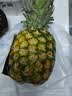 佳农 菲律宾黑钻甜心菠萝1.1kg 实拍图