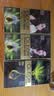 欧莱雅臻萃精油染染发剂 男女遮盖白发 染发膏4.0墨羽黛棕【热卖】 实拍图