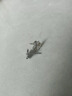 BJYLS999足银四叶草耳钉女士养耳洞纯银耳环银耳饰生日礼物送女友老婆 999足银四叶草耳钉一对【精美礼盒】 实拍图