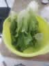 罗马生菜约500g 实拍图