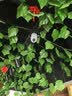 纽曼无线家用摄像头AI手机远程监控器360度无死角带夜视全景语音500万像素高清自动旋转可对话室内云台 实拍图