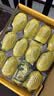 佳沛（zespri）新西兰金奇异果12粒特大果124-146g猕猴桃中秋节礼品送水果礼盒 实拍图