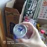 养元六个核桃智汇养生型180ml*24罐量贩实惠核桃乳饮料 中秋送礼 实拍图