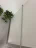 京东绿植绿萝盆栽除甲醛花卉绿植办公室新房净化空气 120款10盆源头直发 实拍图