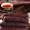 京鲜生云南版纳紫拇指小玉米500g 非转基因甜糯玉米棒手指玉米宝宝早餐 实拍图