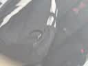 迪卡侬26新款NH100大容量青少年旅游户外徒步通勤双肩背包20L-5624265 实拍图
