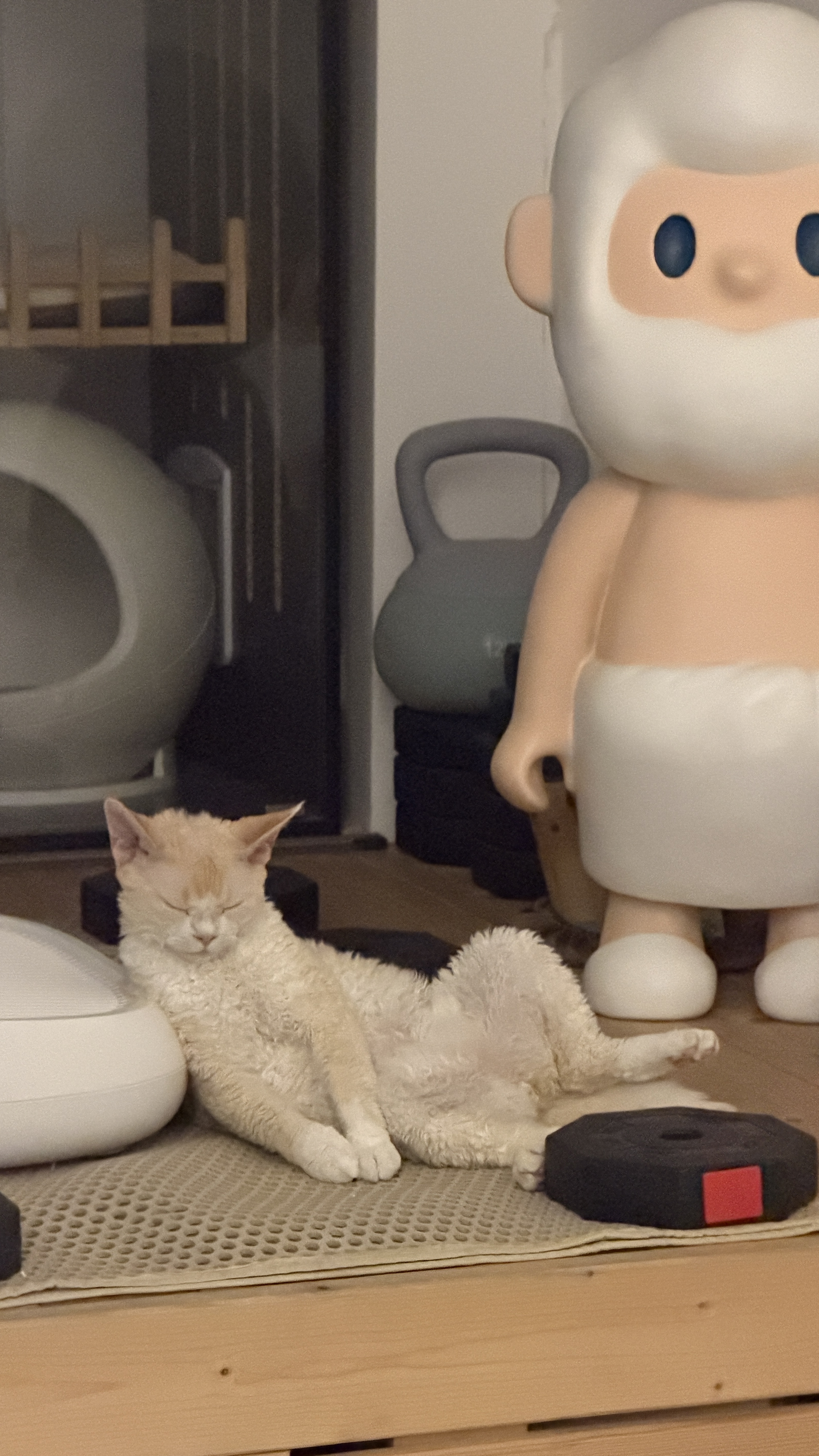 pidan猫砂 超细豆腐膨润土混合猫砂6.18KG*3包 整箱装皮蛋猫砂自营 实拍图