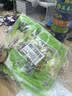 云乡人家泡椒竹笋尖即食山椒手剥笋片休闲零食品小吃尖笋片28g*20袋 实拍图