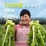 吉香居爽口下饭菜 微辣爽口榨菜咸菜腌菜四川红油榨菜 330g加赠20g 实拍图