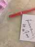 毕加索（pimio）美工笔弯头弯尖硬笔书法钢笔毕业礼物男女士练字成人学生用笔明尖1.0mm 916法兰红 实拍图