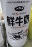伊利金典3.8g乳蛋白鲜活纯牛奶250ml*8INF工艺30天常温短保中秋礼盒装 实拍图