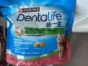 齿一生猫零食猫咪饼干洁齿磨牙零食成猫三文鱼味170g Dentalife 实拍图