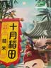 十月稻田 莲子 250g 半斤 湘潭产去芯磨皮白莲子 桂圆百合银耳羹煲汤食材  实拍图