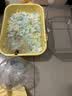 过凡（GUOFAN）小仓鼠笼防越狱全景仓鼠透明安全屋豪华大别墅双层平台仓鼠笼子 实拍图