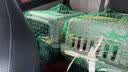 腆宠宠物航空箱大号 猫咪航空箱猫狗 猫包猫笼外出车载猫箱狗狗托运 实拍图
