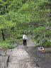 探路者（TOREAD）喀纳登山杖碳纤维伸缩手杖户外徒步超轻便携爬山装备拐杖 银色 实拍图