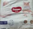 好奇（Huggies）软萌星人柯基拉拉裤XXXL24片(17kg以上)尿不湿【软糯贴贴】 实拍图