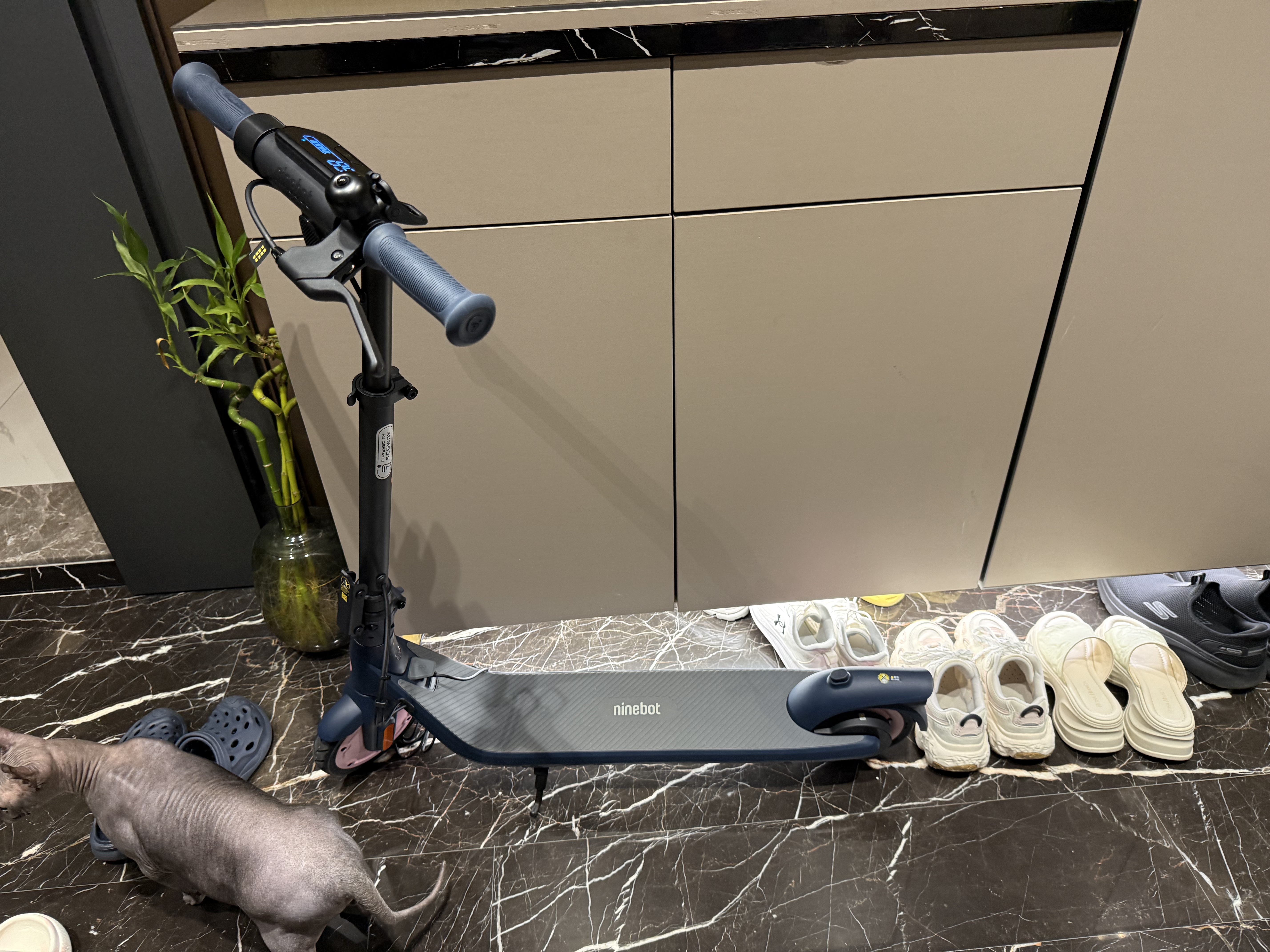 九号（Ninebot）电动滑板车C2pro  滑板车九号电动车迷你便携体感车可折叠双轮电动车 C2pro 蓝粉色 实拍图