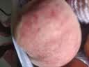 京鲜生山西水蜜桃 净重4.5斤 单果140g+ 新鲜水果 源头直发包邮 实拍图