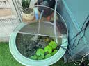 老漁匠鱼缸风扇冷水自动控温静音水草海水散热鱼缸夏天降温神器 2026新品升级变频指数灯版-30°风口调节 实拍图