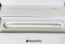 Apple/苹果【教育优惠】Pencil Pro 磁吸触控笔苹果笔电容笔iPad笔 适用于iPad mini/Pro/Air 实拍图
