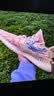 阿迪达斯 Yeezy350暴龙兽椰子透气男女运动休闲鞋 GW3773 38 实拍图