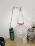 小熊（Bear）桶装水抽水器电动压水器矿泉水上水器抽水泵台桶两用YSJ-D05M1 实拍图
