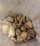 十月稻田 金钱菇 200g 干香菇 小香菇 山珍菌菇干货 煲汤火锅炒菜食材 实拍图