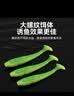 国王路亚路亚饵软饵根钓螺纹T尾微物铅头钩套装河道掏桥洞海钓黑头黄鱼 实拍图