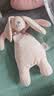 澳贝（auby）婴幼儿童玩具星座小兔安抚巾宝宝哄睡神器新生儿毛绒手偶满月礼物 实拍图