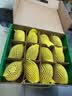 佳沛（zespri）新西兰金奇异果12粒特大果124-146g猕猴桃中秋节礼品送水果礼盒 实拍图