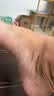 大嘴猴（paul frank）男士洞洞鞋夏季厚底包头拖鞋漂流溯溪鞋沙滩鞋 灰色 42-43 实拍图