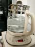 苏泊尔（SUPOR）养生壶 煮茶器 烧水壶 大容量花茶壶恒温水壶烧水电热水壶 办公室保温煮茶壶调奶器 2L SW-20YQ10 实拍图